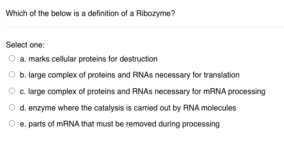 ribozyme definition