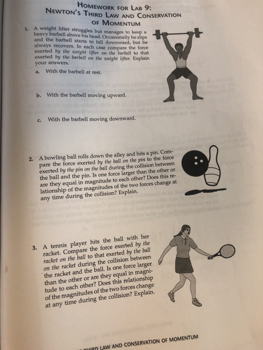 32 Newton's Third Law Worksheet Answers - Worksheet Source 2021