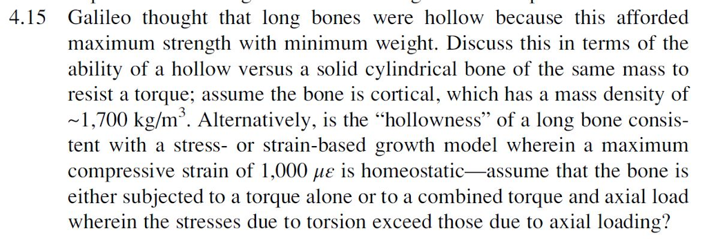 Galileo bone outlet