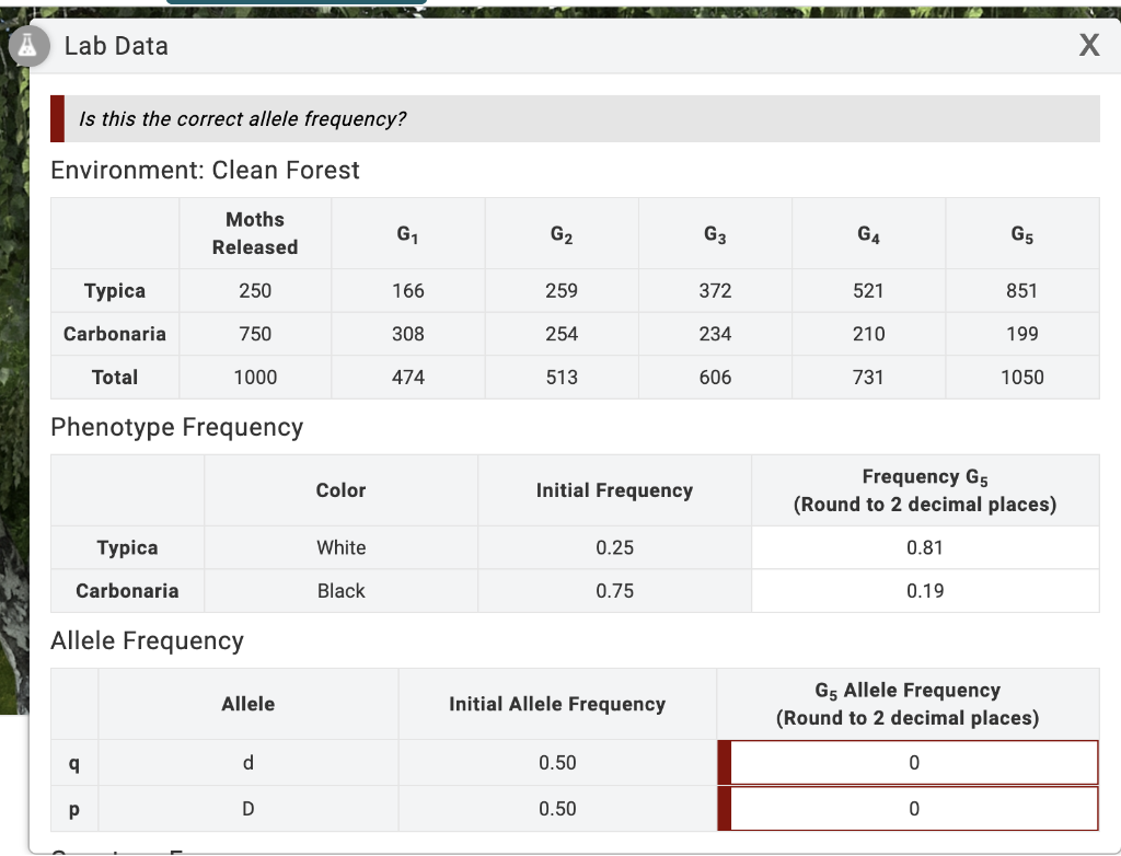 solved-lab-data-x-is-this-the-correct-allele-frequency-chegg