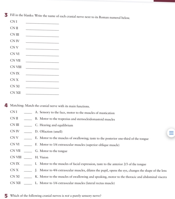 Solved: 3 Fill In The Blanks: Write The Name Of Each Crani... | Chegg.com