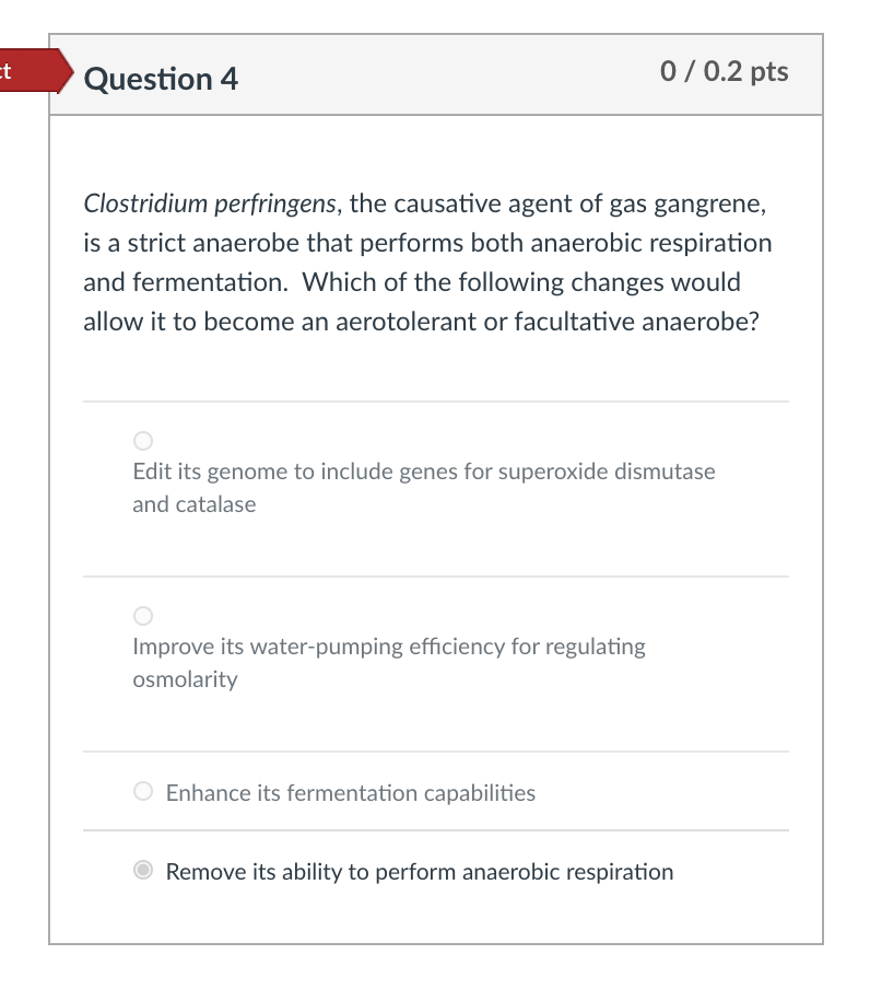 Solved Ct Question 4 0 0 2 Pts Clostridium Perfringens Chegg Com