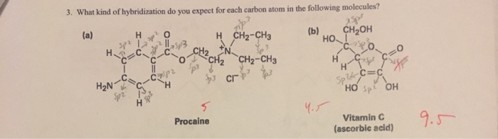 Solved 3. What Kind Of Hybridization Do You Expect For Ea