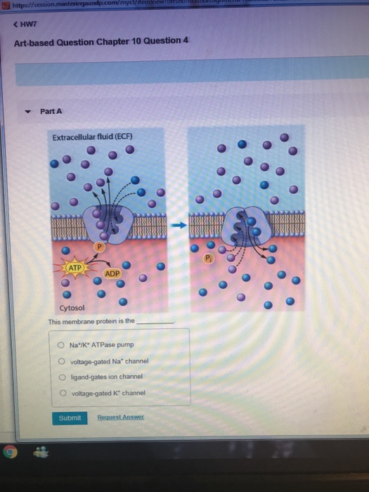 Solved KHW7 Art-based Question Chapter 10 Question 4 Part A | Chegg.com