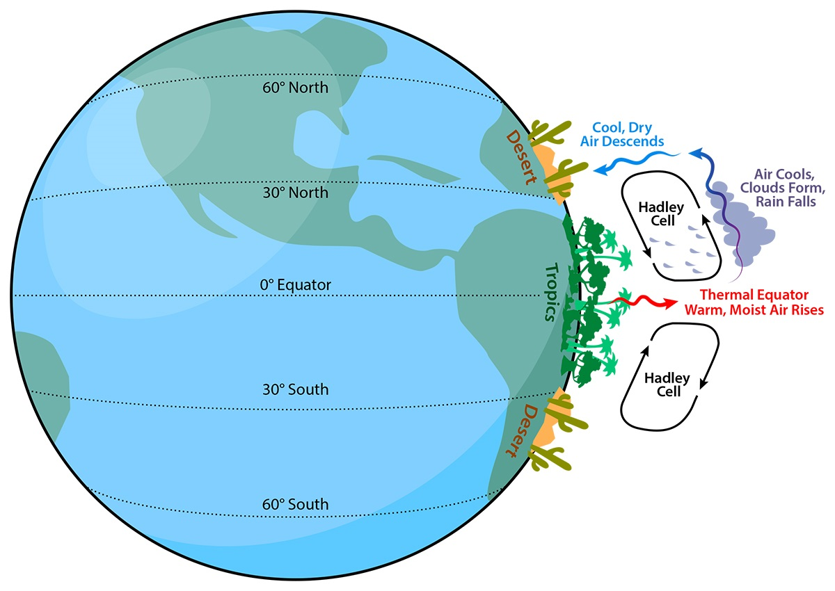 Solved The figure shows the general characteristics of a