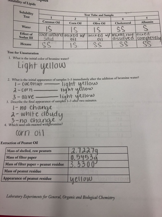 Sölubility of Lipids Solubility Test Tube and Sample