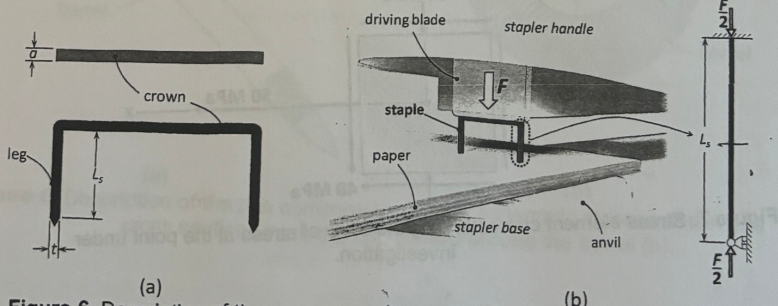 Solved Paper pages are commonly fastened using metal staples | Chegg.com
