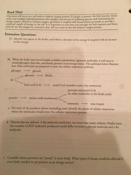Solved Read This! Glycolysis will occur in a cell with or | Chegg.com