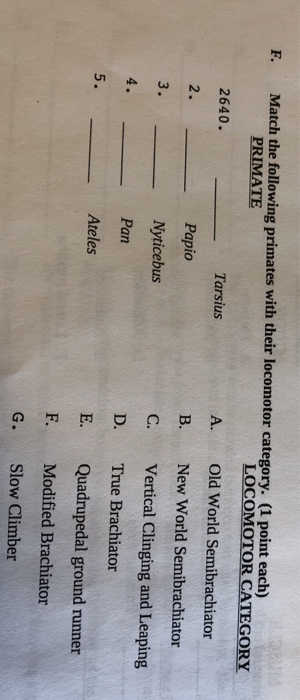 Solved D. Match the following primates with their locomotor | Chegg.com ...