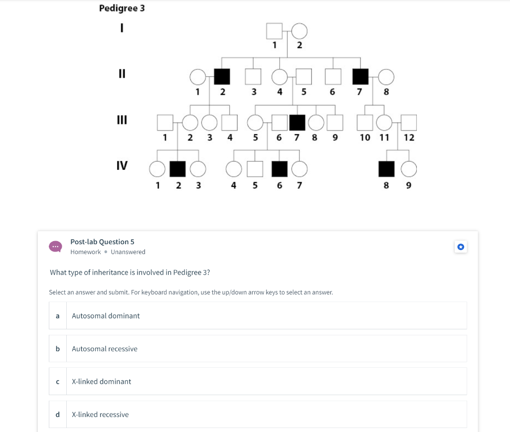 Solved Pedigree 3 I СТО 1 2 II O 어 1 2 3 4 5 6 7 8 III 1 2 3 | Chegg.com