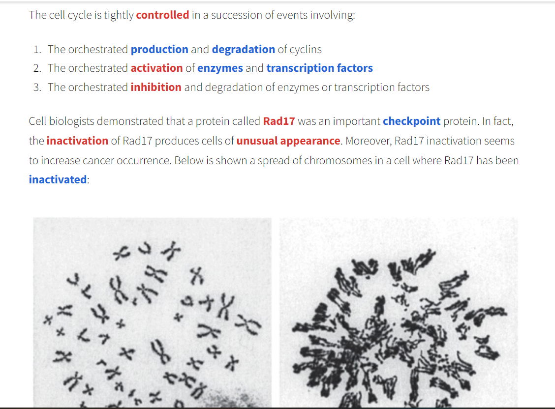 Solved After carefully observing the chromosomes of the | Chegg.com