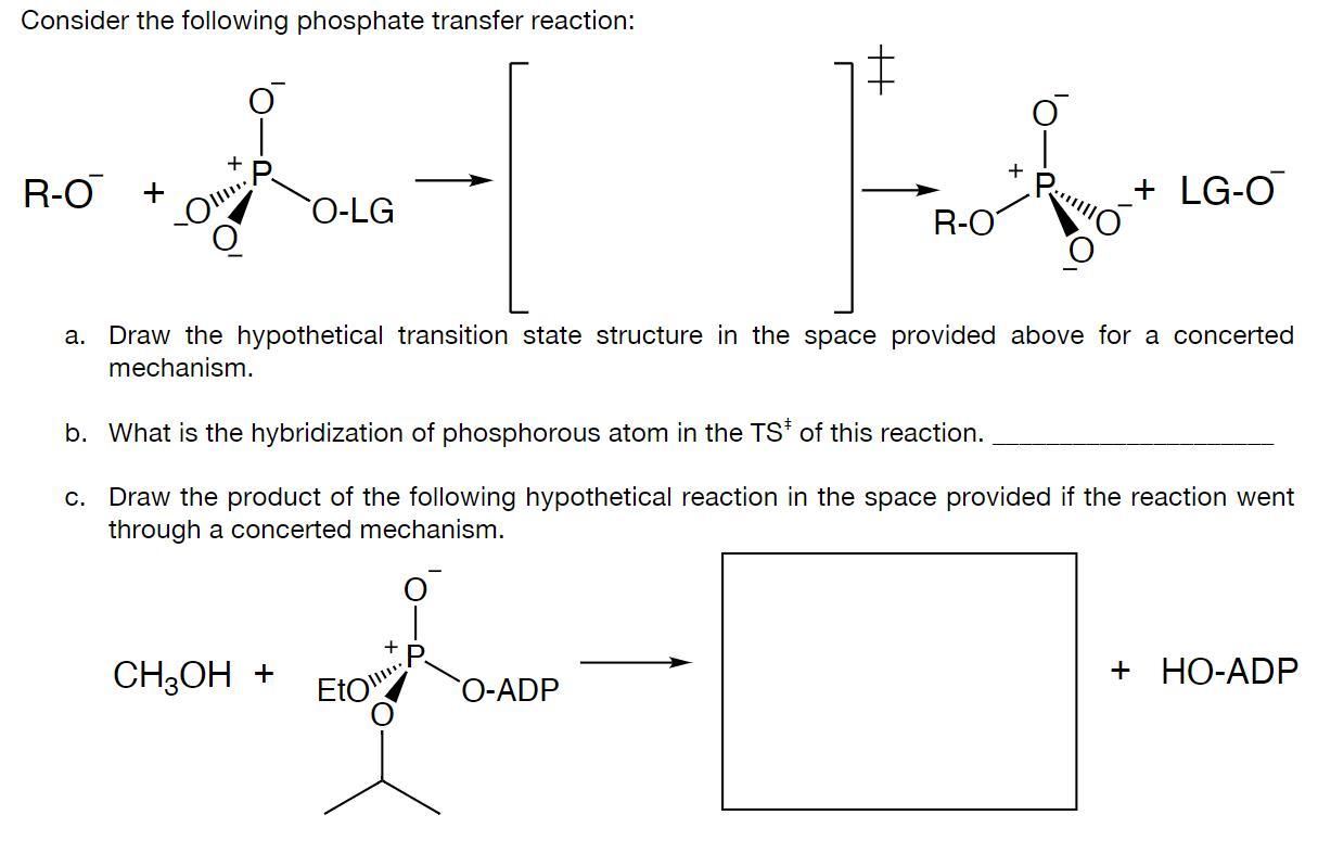 Solved Consider the following phosphate transfer reaction: | Chegg.com