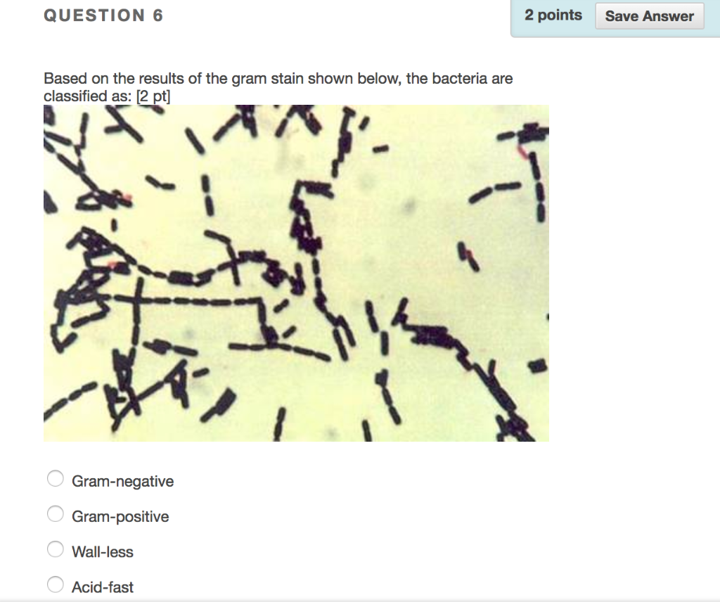 Solved QUESTION 6 2 points Save Answer Based on the results | Chegg.com