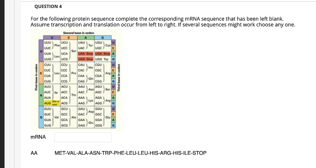 Solved QUESTION 4 For the following protein sequence | Chegg.com