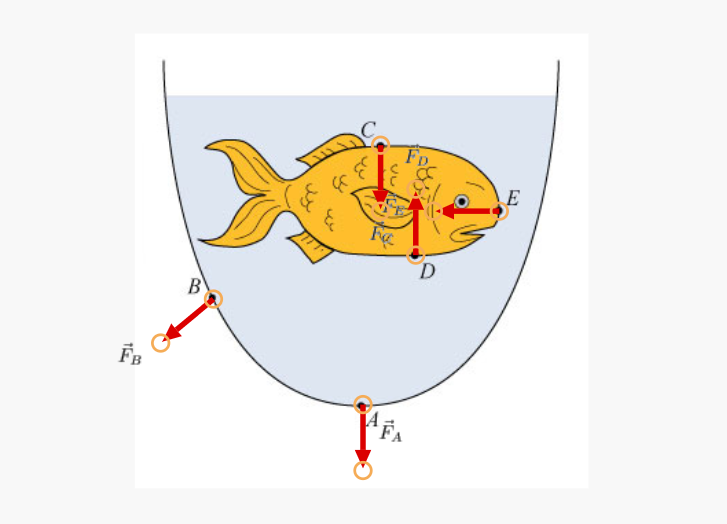 Solved A fishbowl contains a single goldfish and is filled
