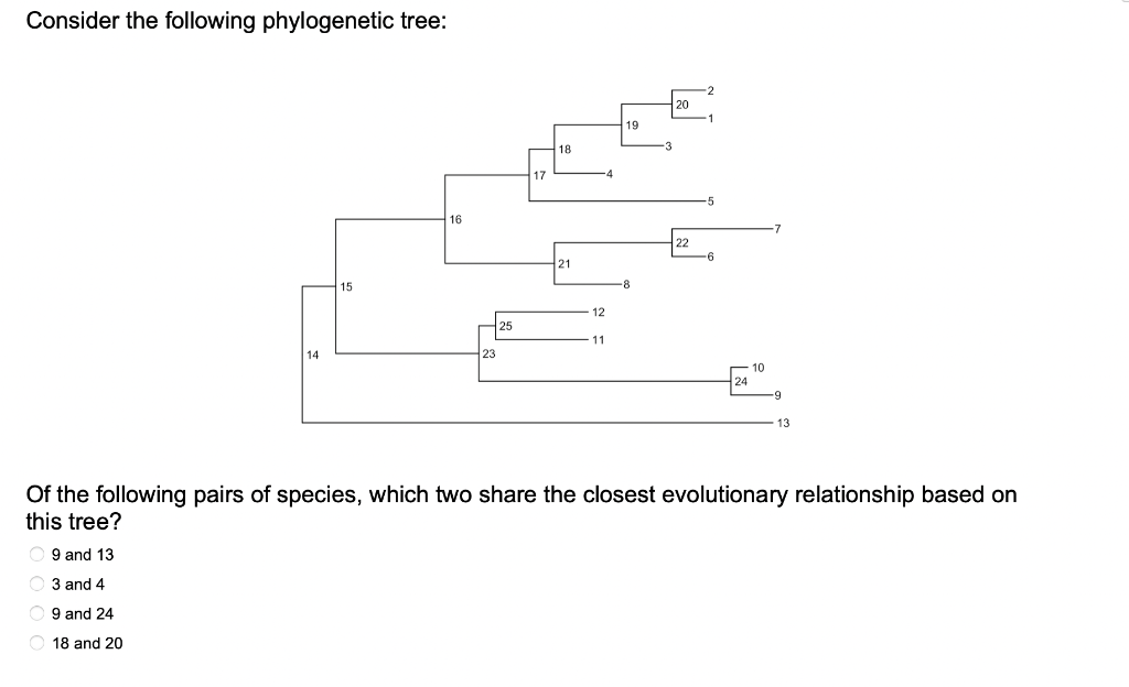 Solved Consider The Following Phylogenetic Tree: Of The | Chegg.com