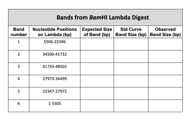 Bands from BamHI Lambda Digest Band number 1 | Chegg.com
