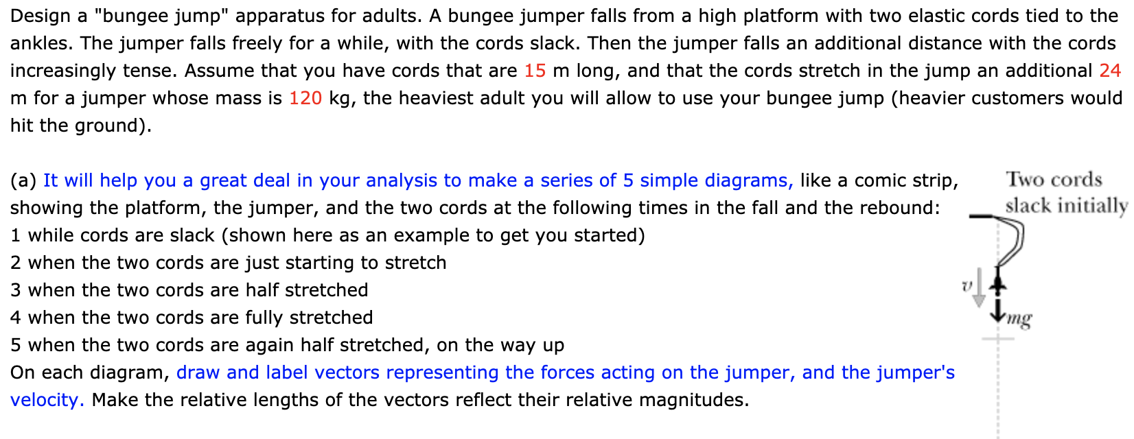 solved-design-a-bungee-jump-apparatus-for-adults-a-bungee-chegg