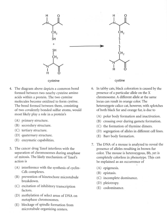 Solved H H -N. CH2 CH SH + SH CH2 CH cysteine 4. The diagram | Chegg.com