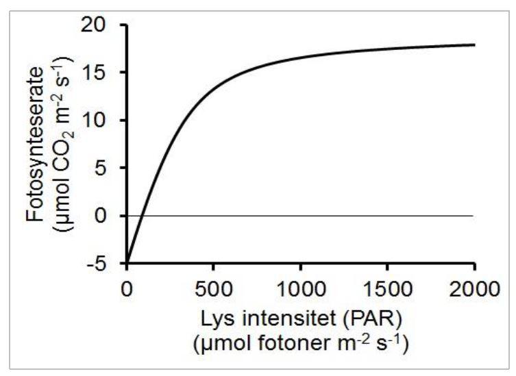 Solved The figure below shows the gas exchange of a | Chegg.com
