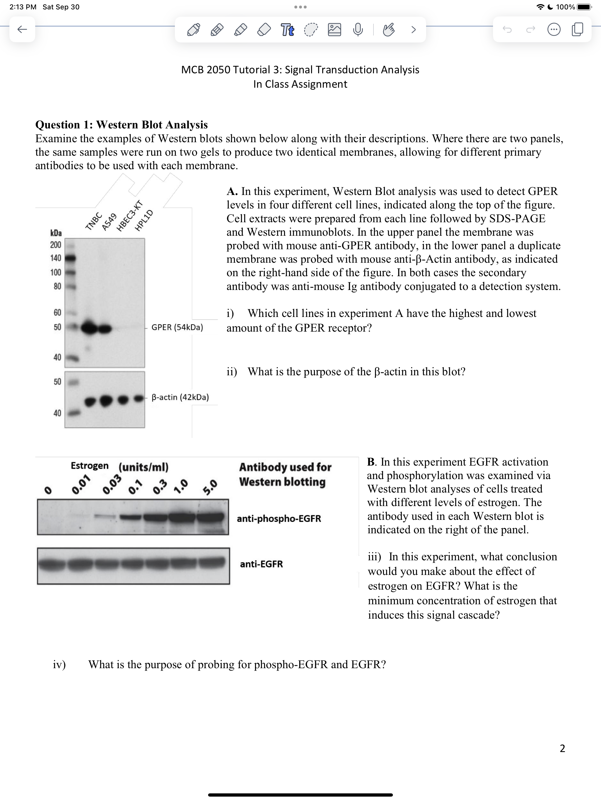 Solved MCB 2050 Tutorial 3 Signal Transduction Analysis In