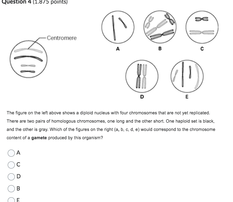 Solved Question 4 (1.8/5 points) The figure on the left | Chegg.com