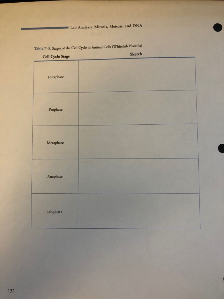 Solved MITOSIS, MEIOSIS, AND DNA 7 Name Date (of lab