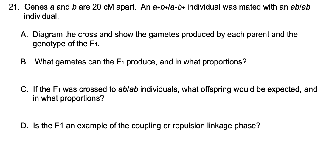 Solved Can someone please explain these to me? I have the | Chegg.com