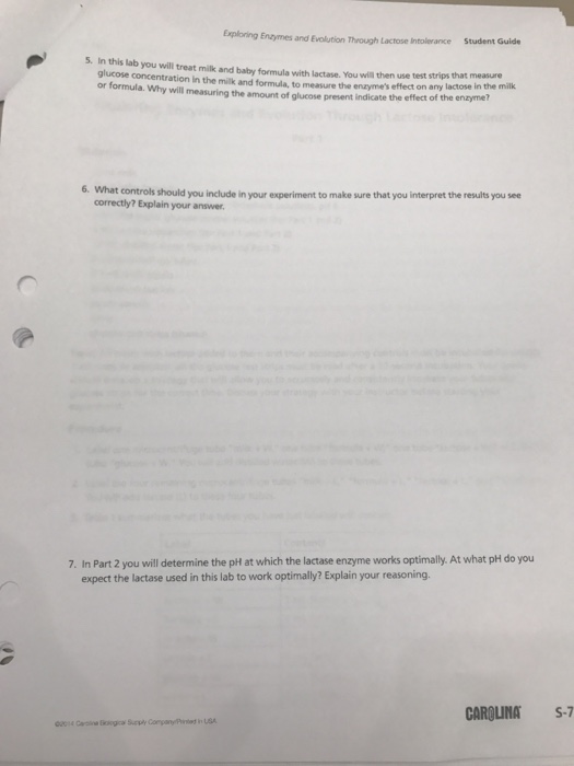 Exploring Enzymes and Evolution mwough Lactose