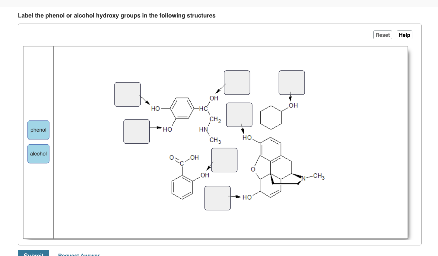 Solved Label the phenol or alcohol hydroxy groups in the | Chegg.com