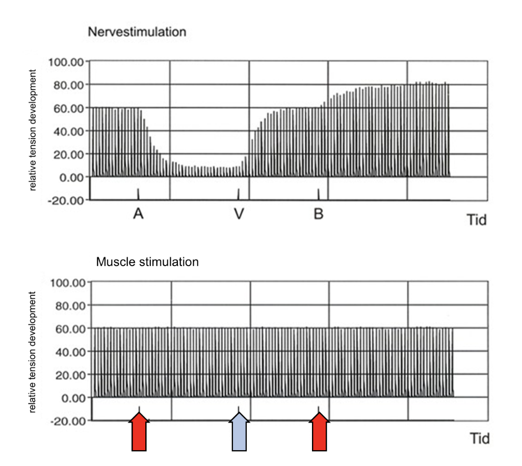 The figure shows the relative tension development in | Chegg.com