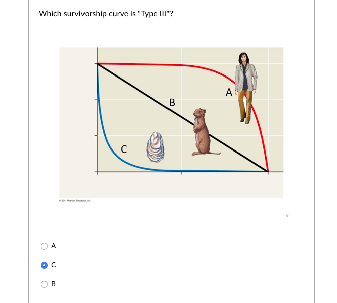 Solved Which survivorship curve is 