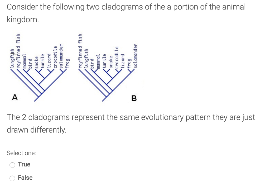 Solved Consider The Following Two Cladograms Of The A | Chegg.com