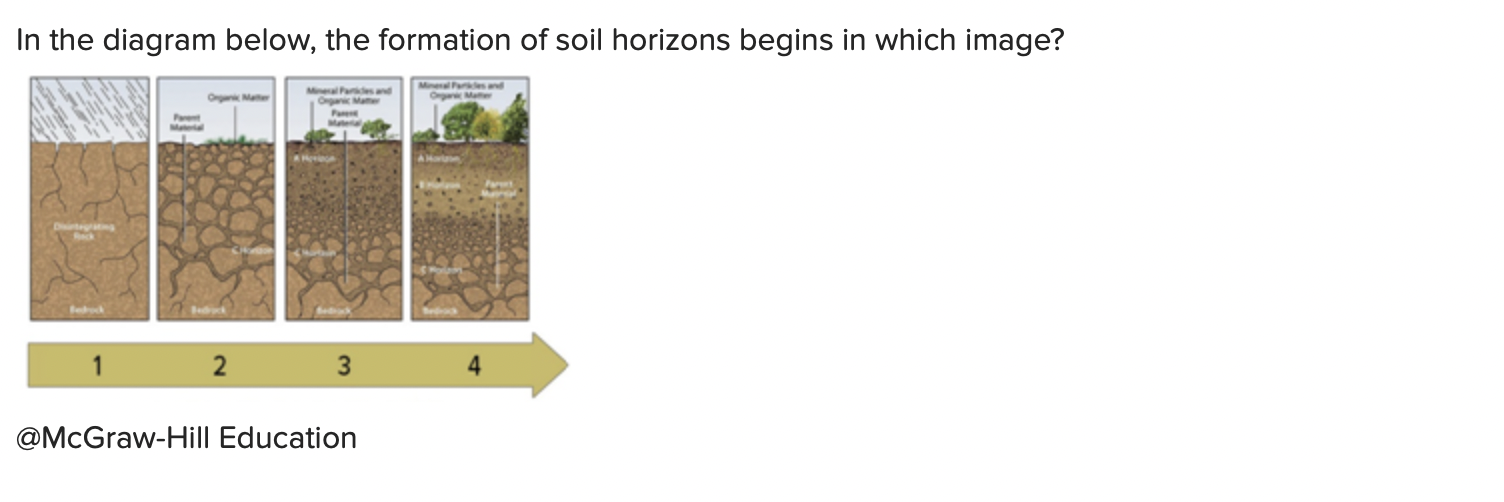 Solved In The Diagram Below, The Formation Of Soil Horizons | Chegg.com