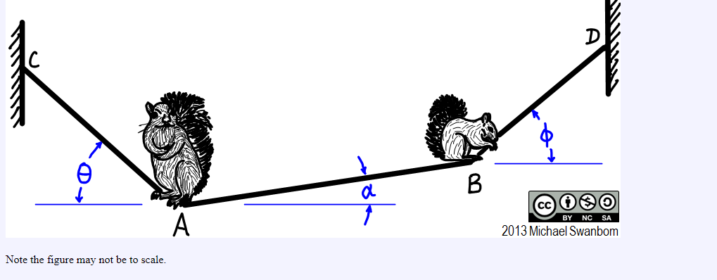 Solved Two Squirrels Are Sitting On The Rope As Shown. The | Chegg.com