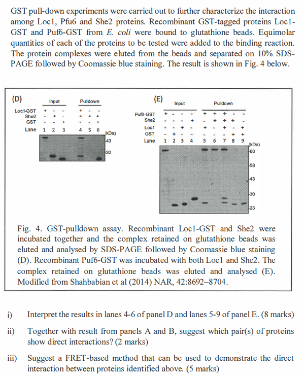 A) HPLC trace of trans-click reaction between 5Tz and glutathione