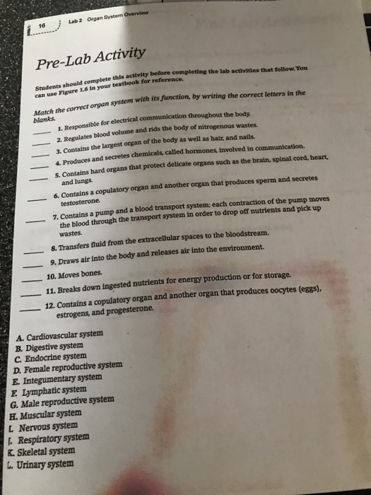 Solved 16 Lab2 Organ System Overview Pre-Lab Activity this Biology Diagrams