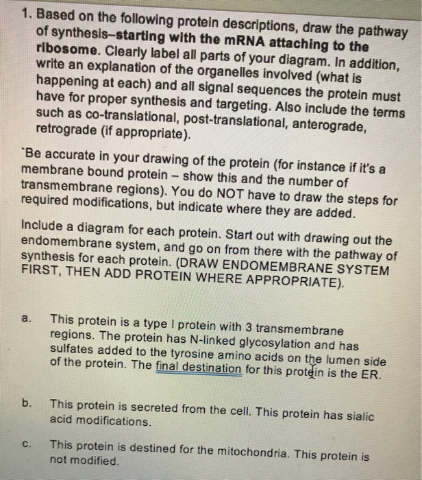 Solved 1. Based on the following protein descriptions, draw | Chegg.com