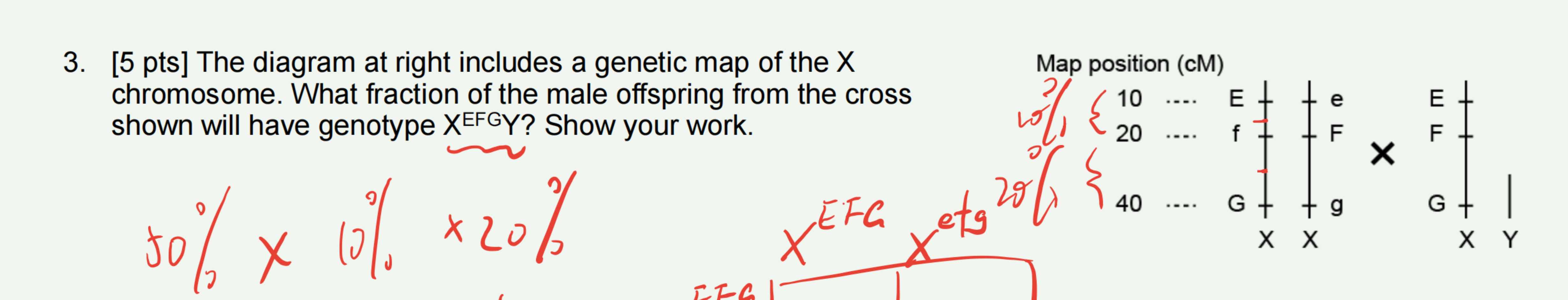 Solved [5 ﻿pts] ﻿The diagram at right includes a genetic map | Chegg.com