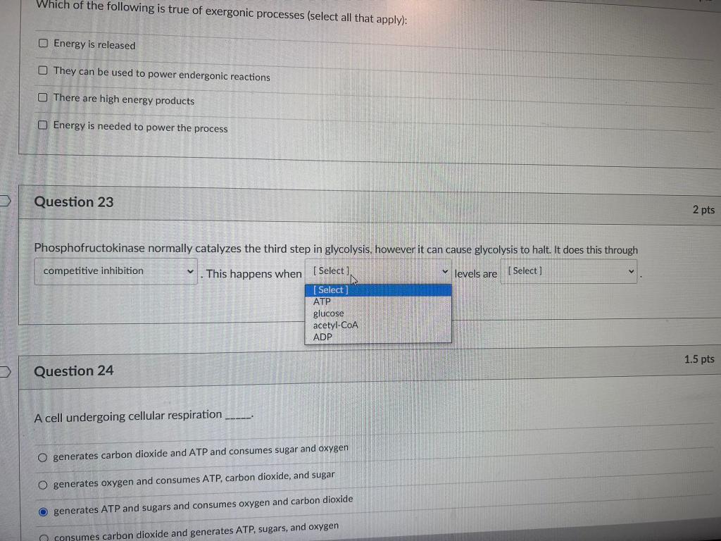 Solved Which of the following is true of exergonic processes | Chegg.com