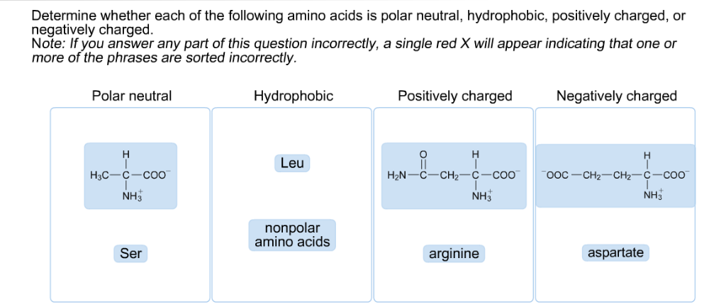 positively-charged-basic-amino-acids-cloudshareinfo