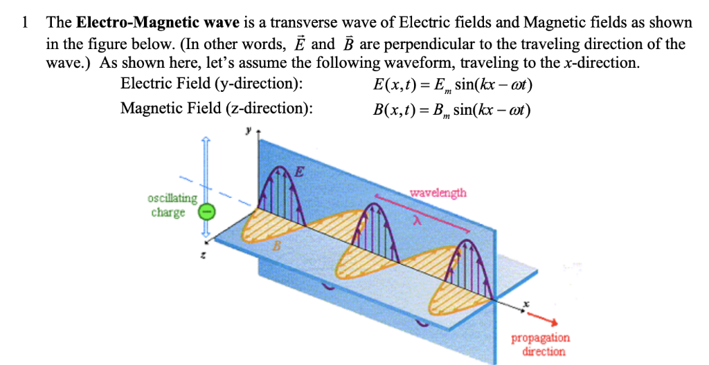 Solved The wave is a transverse wave of