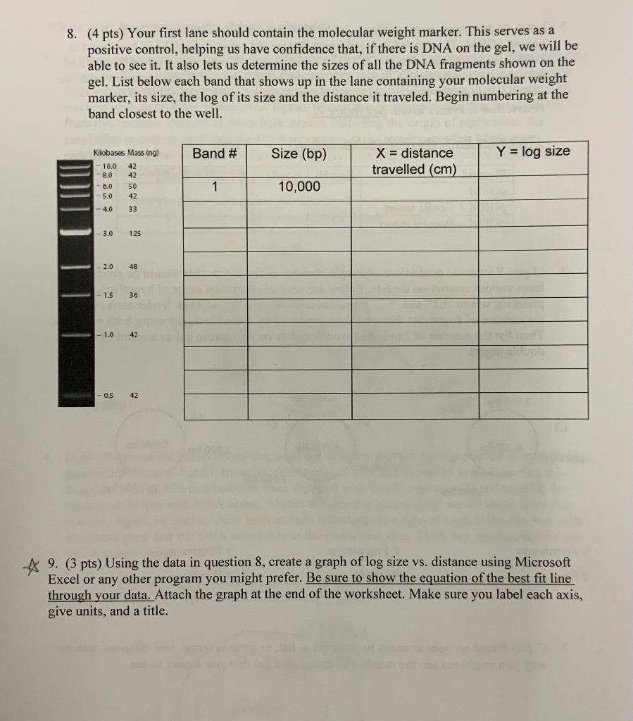 DNA PLEASE HELP me fill out this information, i dont | Chegg.com