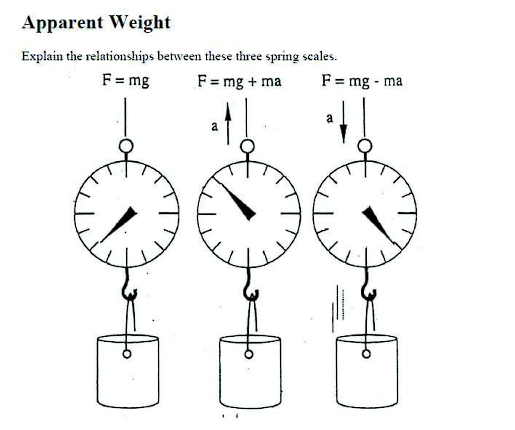 Solved Explain the relationships between these three spring | Chegg.com