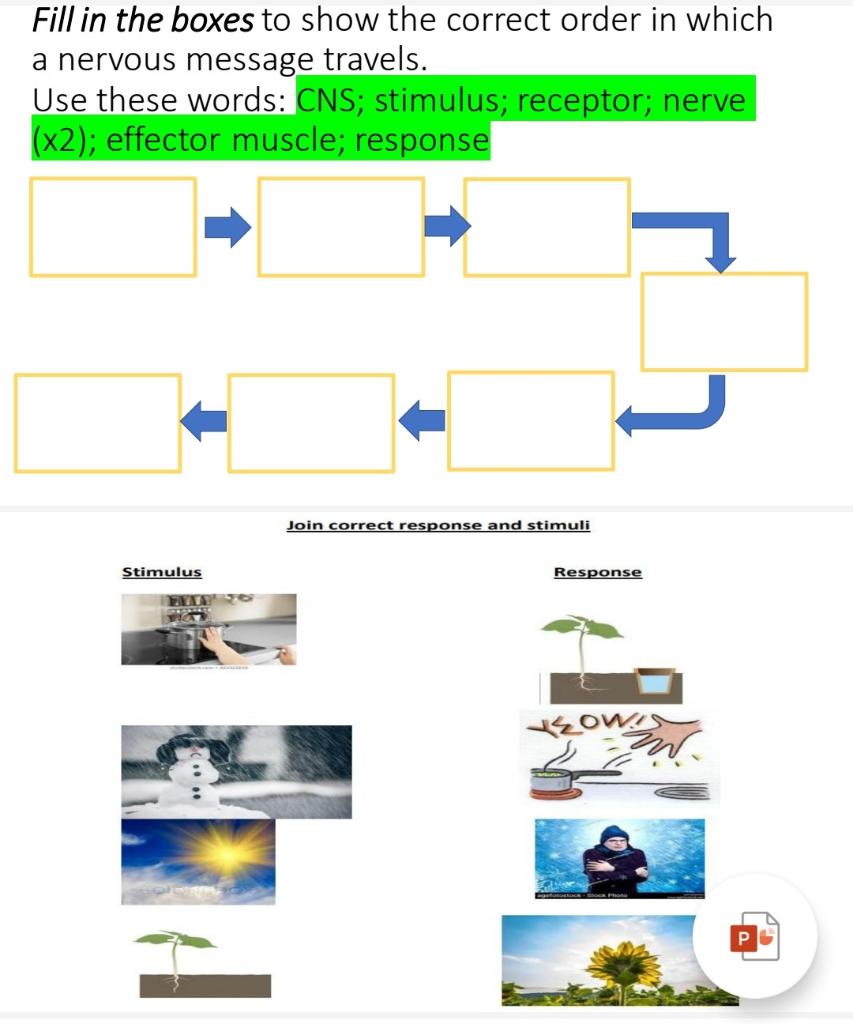 Solved Fill in the boxes to show the correct order in which | Chegg.com