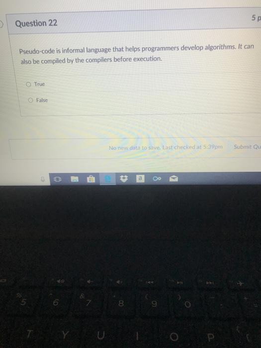 Solved 5 p Question 22 Pseudo-code is informal language that | Chegg.com