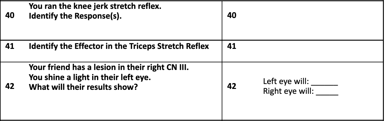 Solved \begin{tabular}{|ll|l|} \hline 40 & You ran the knee | Chegg.com