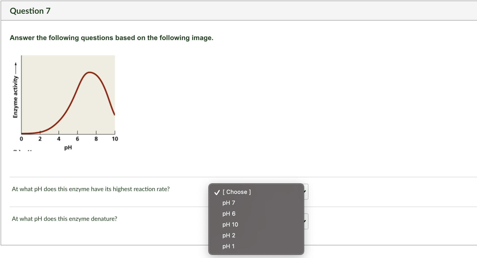 Solved Enzyme Questions 1 Answer The Following Questions Chegg Com