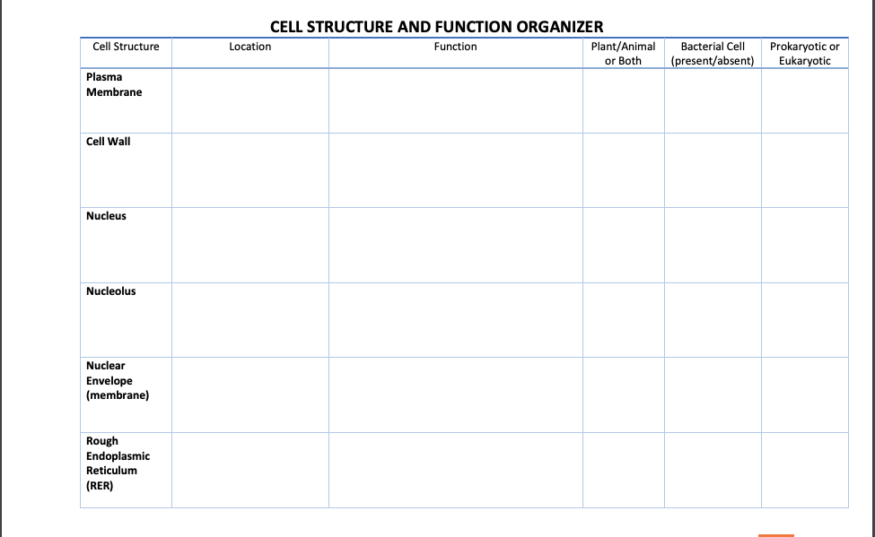 Cell Structure CELL STRUCTURE AND FUNCTION ORGANIZER 