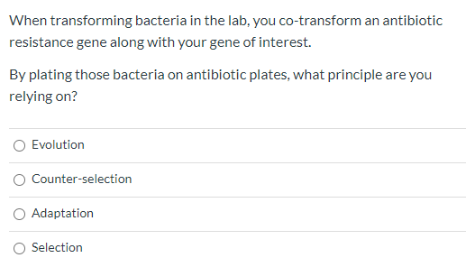 Solved When transforming bacteria in the lab, you | Chegg.com